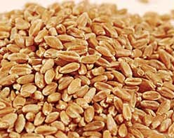 Information on foods to fight suffering from women lazy tired,sluggish low during pregnancy. 